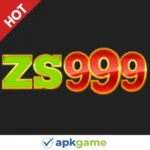 ZS999